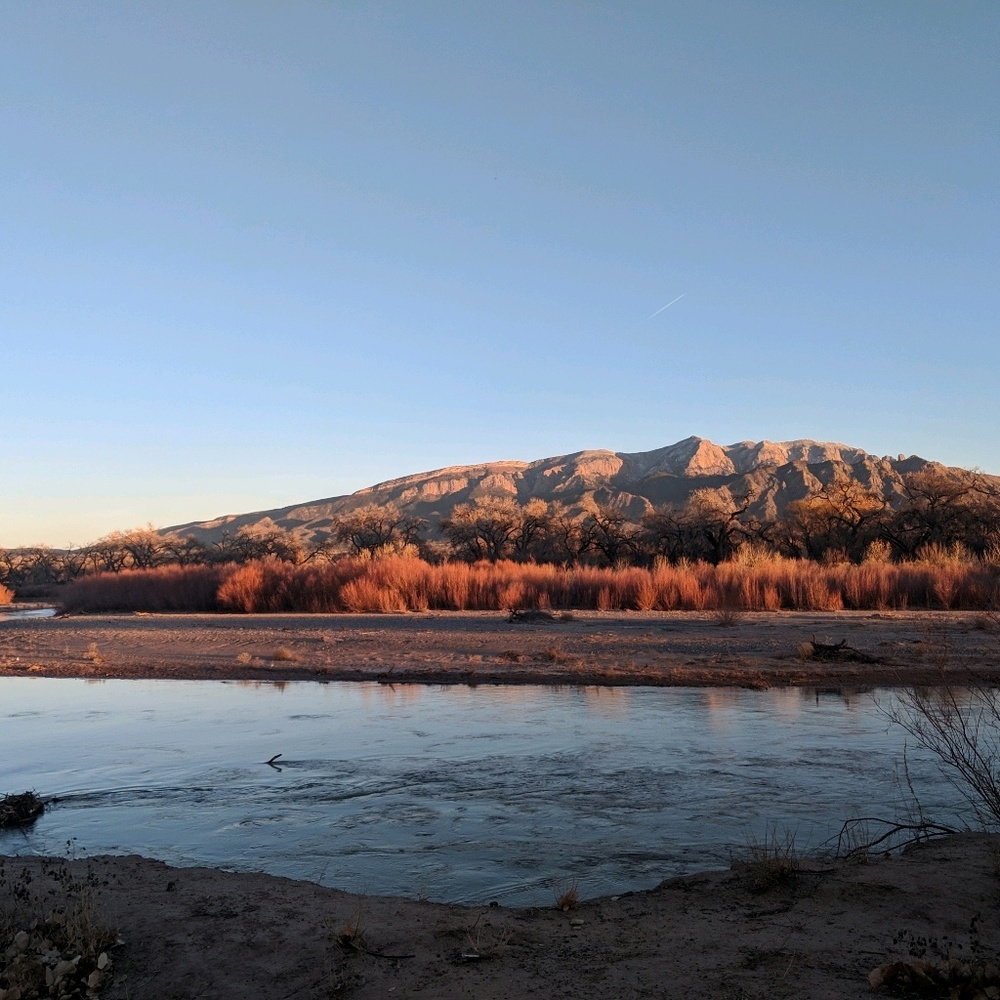 Meet your Posher, Nicolette